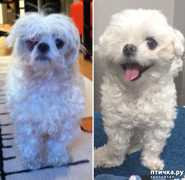 ���� 4: ������ �� ������: ������ �� � �����. ������� ���, ������������� ����!