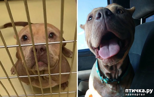 ���� 5: ������ �� ������: ������ �� � �����. ������� ���, ������������� ����!