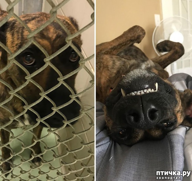 ���� 6: ������ �� ������: ������ �� � �����. ������� ���, ������������� ����!