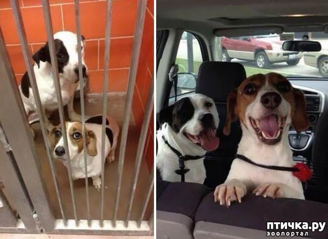 ���� 11: ������ �� ������: ������ �� � �����. ������� ���, ������������� ����!