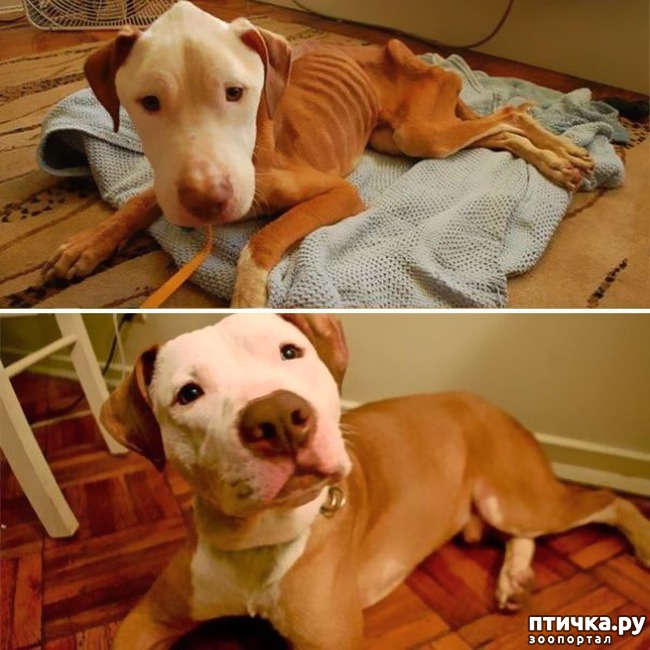 ���� 12: ������ �� ������: ������ �� � �����. ������� ���, ������������� ����!