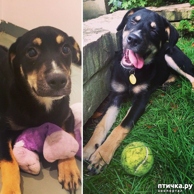 ���� 14: ������ �� ������: ������ �� � �����. ������� ���, ������������� ����!