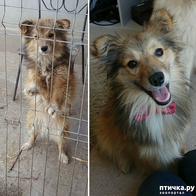 ���� 16: ������ �� ������: ������ �� � �����. ������� ���, ������������� ����!