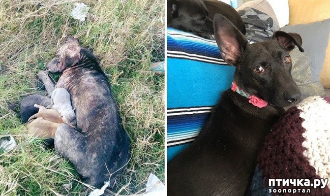 ���� 17: ������ �� ������: ������ �� � �����. ������� ���, ������������� ����!