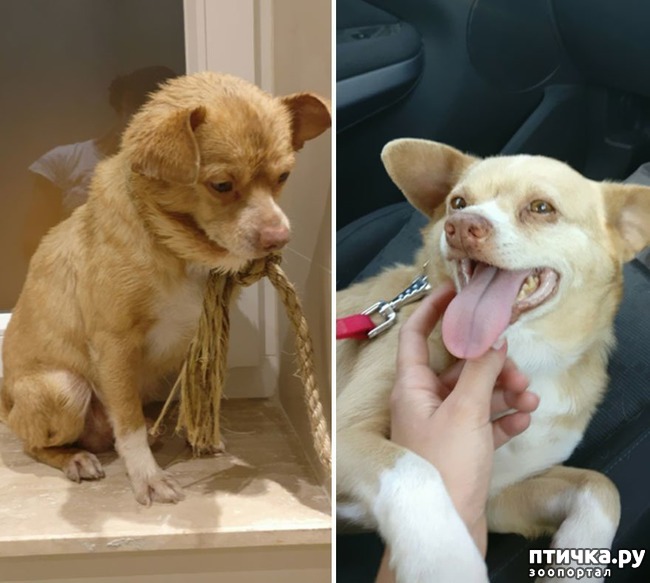 ���� 18: ������ �� ������: ������ �� � �����. ������� ���, ������������� ����!