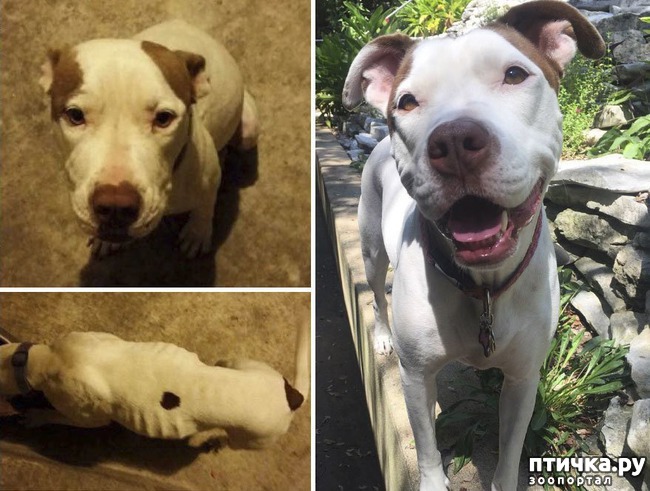 ���� 19: ������ �� ������: ������ �� � �����. ������� ���, ������������� ����!