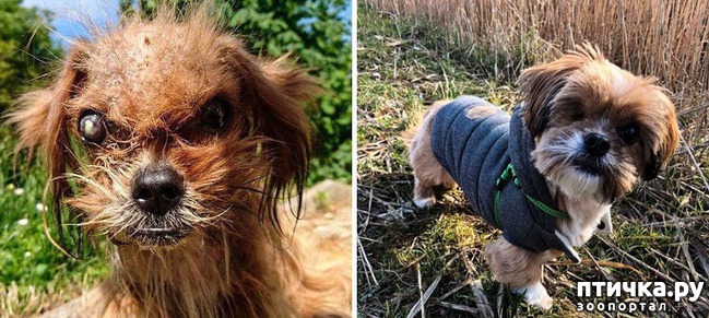 ���� 20: ������ �� ������: ������ �� � �����. ������� ���, ������������� ����!