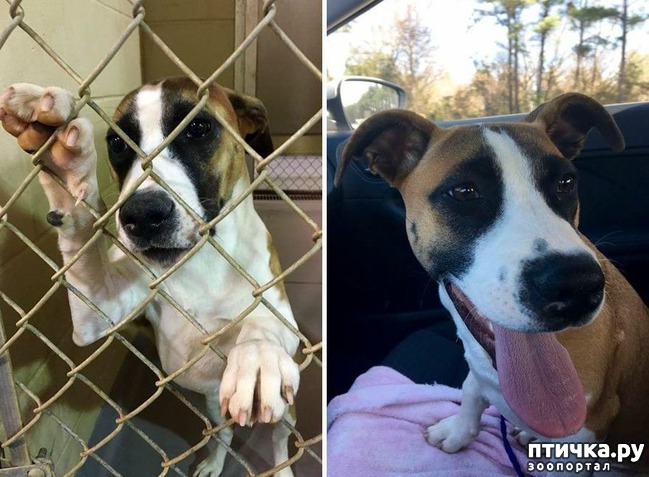 ���� 25: ������ �� ������: ������ �� � �����. ������� ���, ������������� ����!