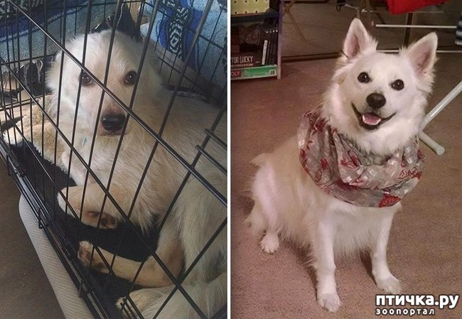 ���� 26: ������ �� ������: ������ �� � �����. ������� ���, ������������� ����!