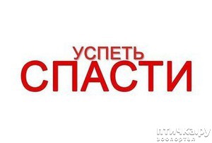 фотография: Успеть спасти. (Грустная история со счастливым концом) фото: Успеть спасти. (Грустная история со счастливым концом)