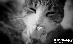 ����: ��������, ������� ����� ���� ������� ���, � ���� ���� ���