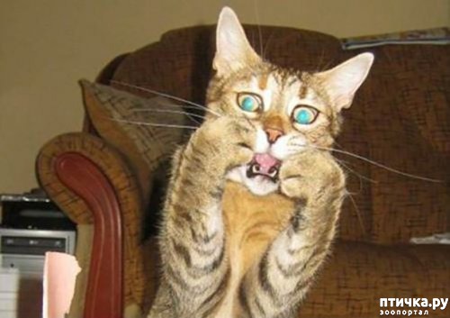 ���� 5: �� ��-�-�� ��������...