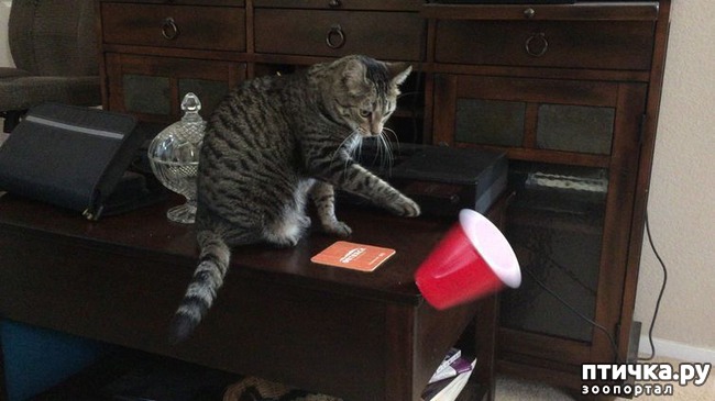 ���� 3: ��������, ������� ����� ���� ������� ���, � ���� ���� ���