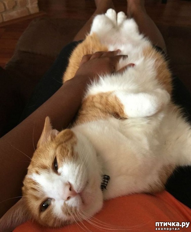 ���� 4: ��������, ������� ����� ���� ������� ���, � ���� ���� ���