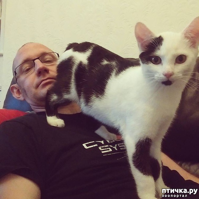 ���� 5: ��������, ������� ����� ���� ������� ���, � ���� ���� ���