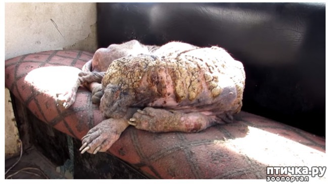 ���� 2: ������ ������. (�������� ������� �� ���������� ������)