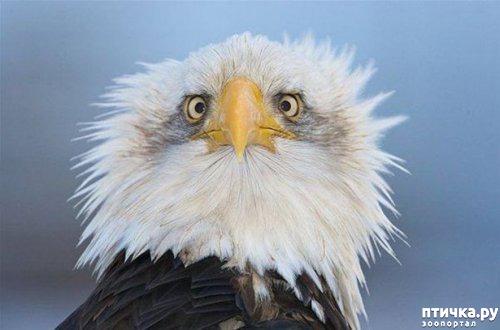 ���� 7: �� ��-�-�� ��������...