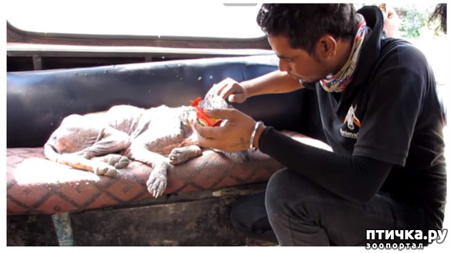 ���� 3: ������ ������. (�������� ������� �� ���������� ������)