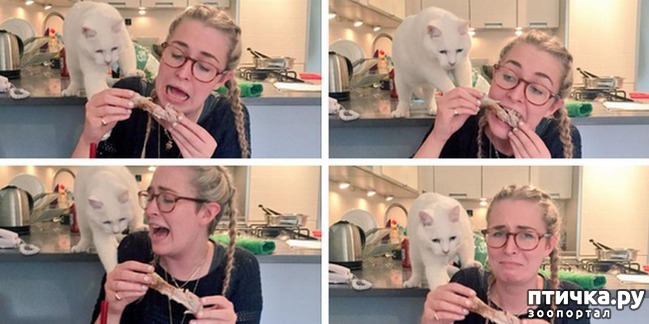 ���� 8: ��������, ������� ����� ���� ������� ���, � ���� ���� ���