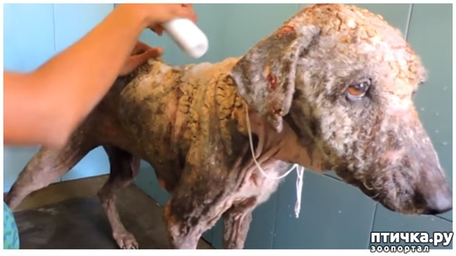 ���� 4: ������ ������. (�������� ������� �� ���������� ������)