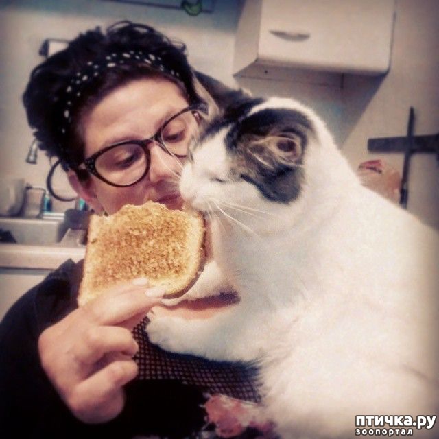 ���� 9: ��������, ������� ����� ���� ������� ���, � ���� ���� ���