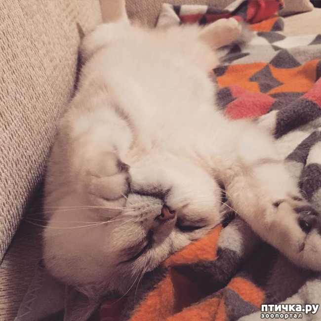 ���� 10: ��������, ������� ����� ���� ������� ���, � ���� ���� ���