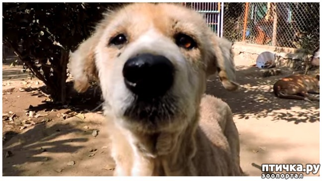 ���� 5: ������ ������. (�������� ������� �� ���������� ������)