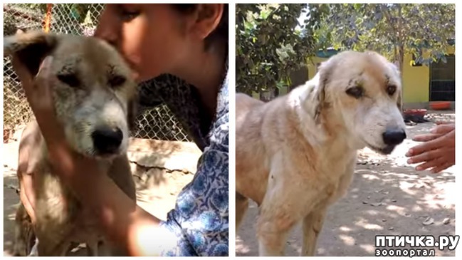 ���� 6: ������ ������. (�������� ������� �� ���������� ������)