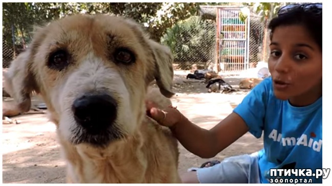 ���� 7: ������ ������. (�������� ������� �� ���������� ������)