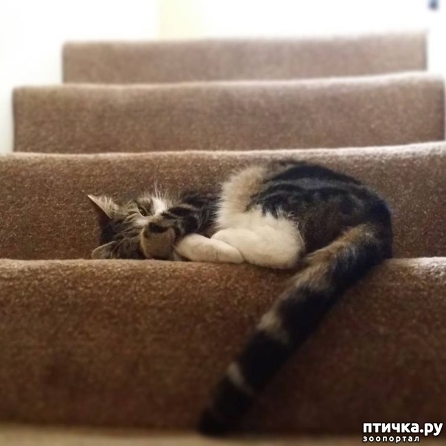 ���� 12: ��������, ������� ����� ���� ������� ���, � ���� ���� ���