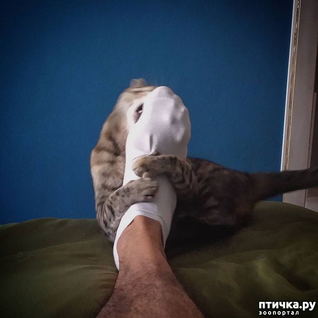 ���� 13: ��������, ������� ����� ���� ������� ���, � ���� ���� ���