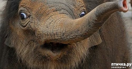 ���� 10: �� ��-�-�� ��������...