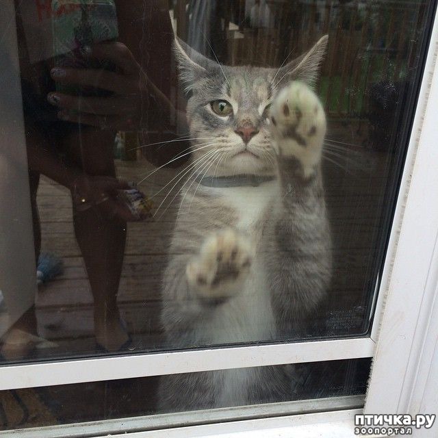 ���� 16: ��������, ������� ����� ���� ������� ���, � ���� ���� ���