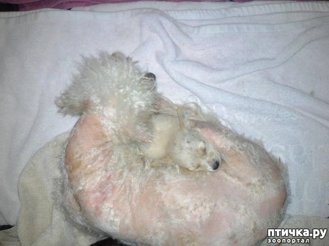 ���� 1: ���� ������� ���������� �� ����� ������, ��� ��� ��� ��� ��������...