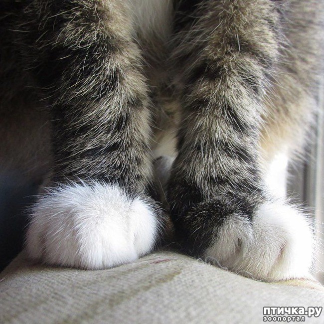 ���� 17: ��������, ������� ����� ���� ������� ���, � ���� ���� ���