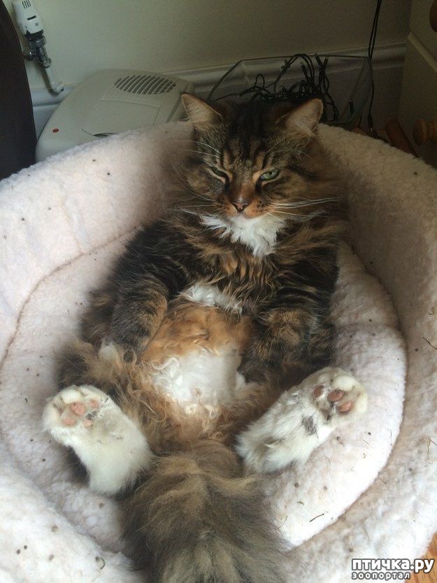 ���� 18: ��������, ������� ����� ���� ������� ���, � ���� ���� ���