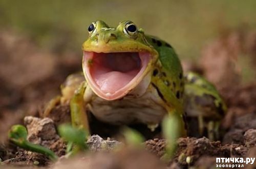 ���� 15: �� ��-�-�� ��������...