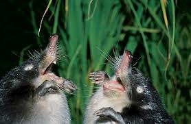 ���� 16: �� ��-�-�� ��������...