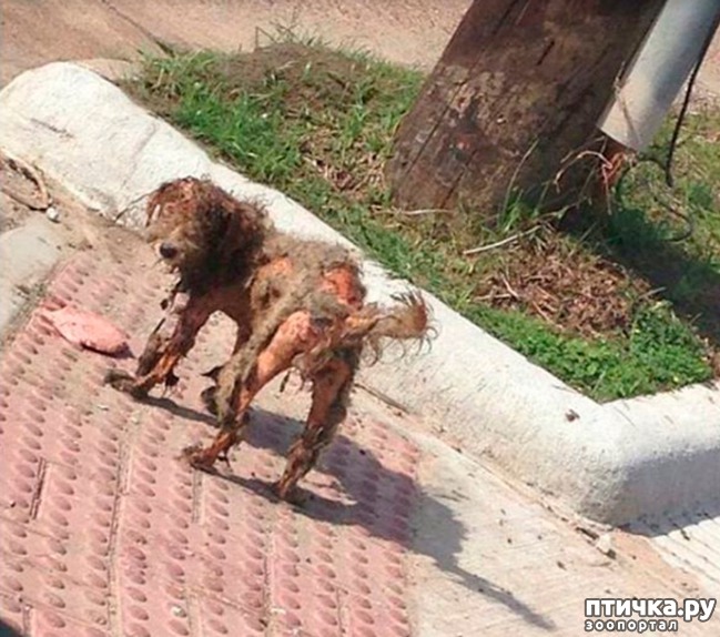 ���� 3: ���� ������� ���������� �� ����� ������, ��� ��� ��� ��� ��������...