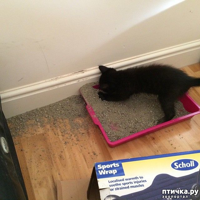 ���� 20: ��������, ������� ����� ���� ������� ���, � ���� ���� ���