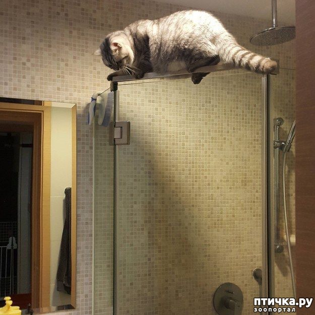 ���� 21: ��������, ������� ����� ���� ������� ���, � ���� ���� ���