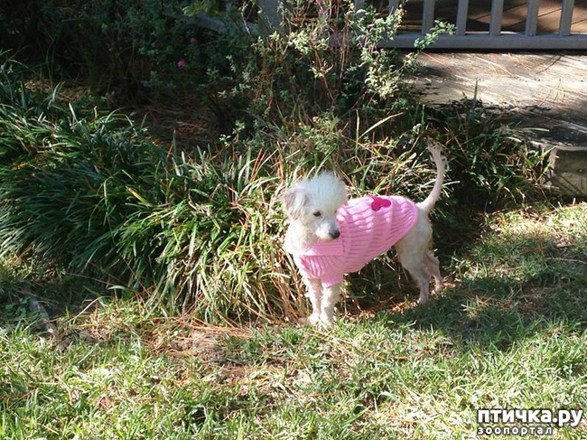 ���� 5: ���� ������� ���������� �� ����� ������, ��� ��� ��� ��� ��������...