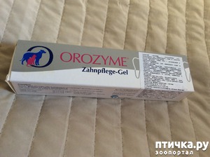 ����: ������ ���� �� ������� ����� � ����� ����