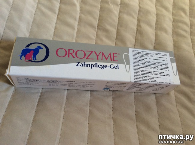 ���� 1: ������ ���� �� ������� ����� � ����� ����