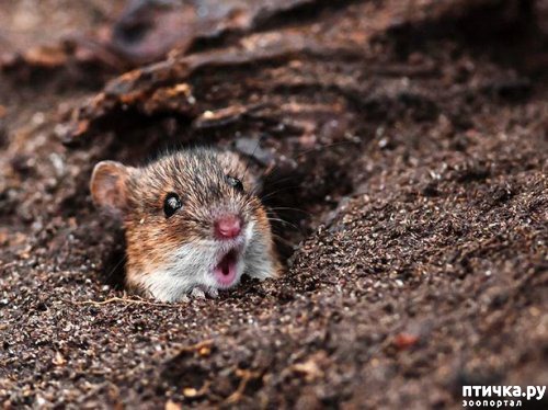 ���� 4: �� ��-�-�� ��������...