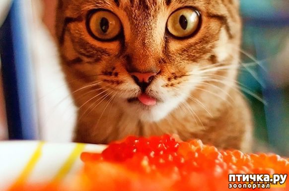 ���� 1: ��������� �������