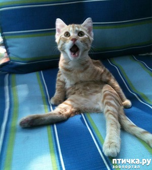 ����: �� ��-�-�� ��������...