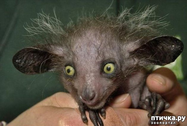 ���� 2: �� ��-�-�� ��������...