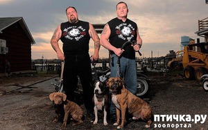 ����: ����� ������������ �������� "Rescue Ink"