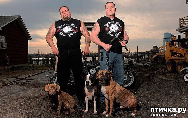 ���� 1: ����� ������������ �������� 